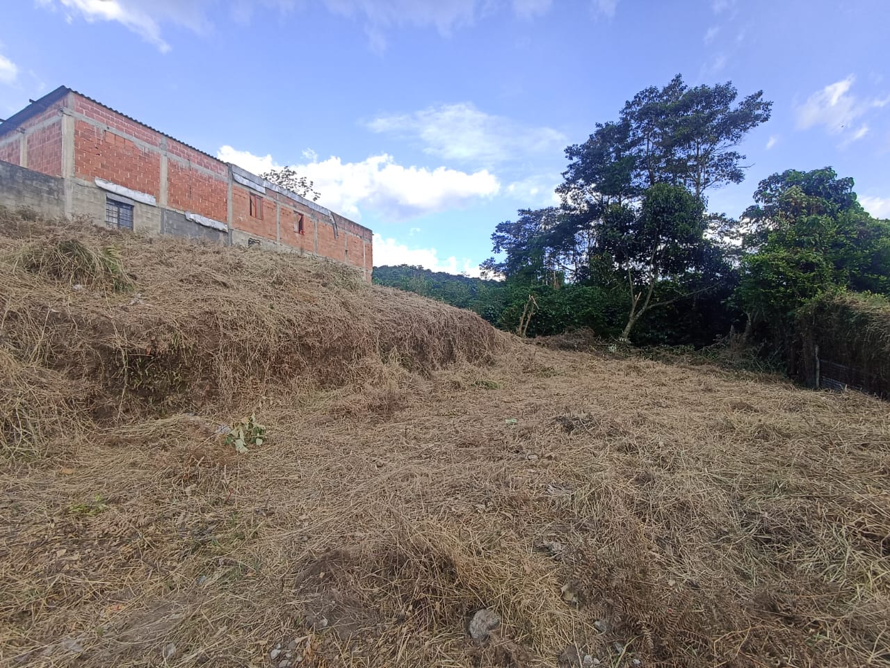 Lote en venta en Romelia Alta, Dosquebradas, 500 m² · foto 5 de 6