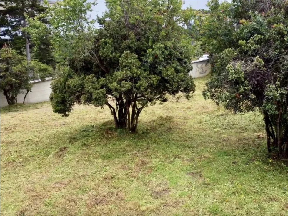 Lote en venta en El Salitre, La Calera, 1768 m² · foto 9 de 16
