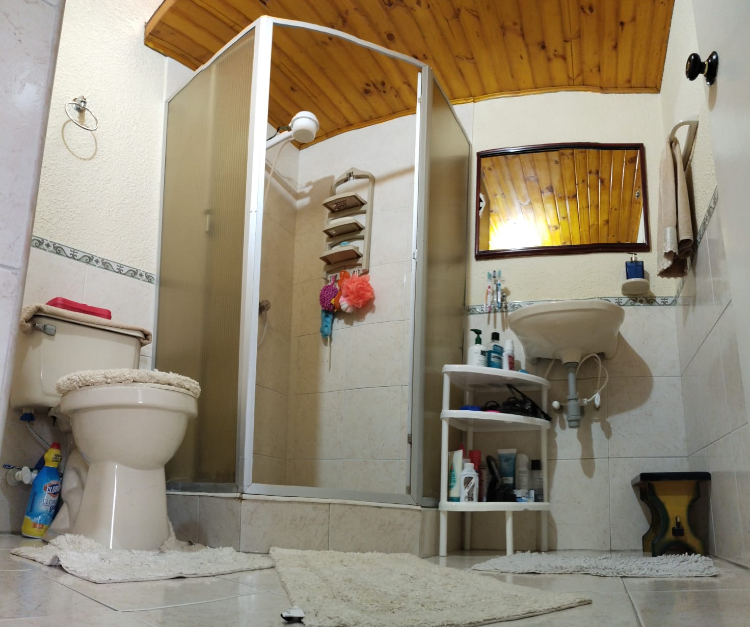 Casa de 5 alcobas en venta en Las Orquideas, Bogotá, 140 m² · foto 5 de 20