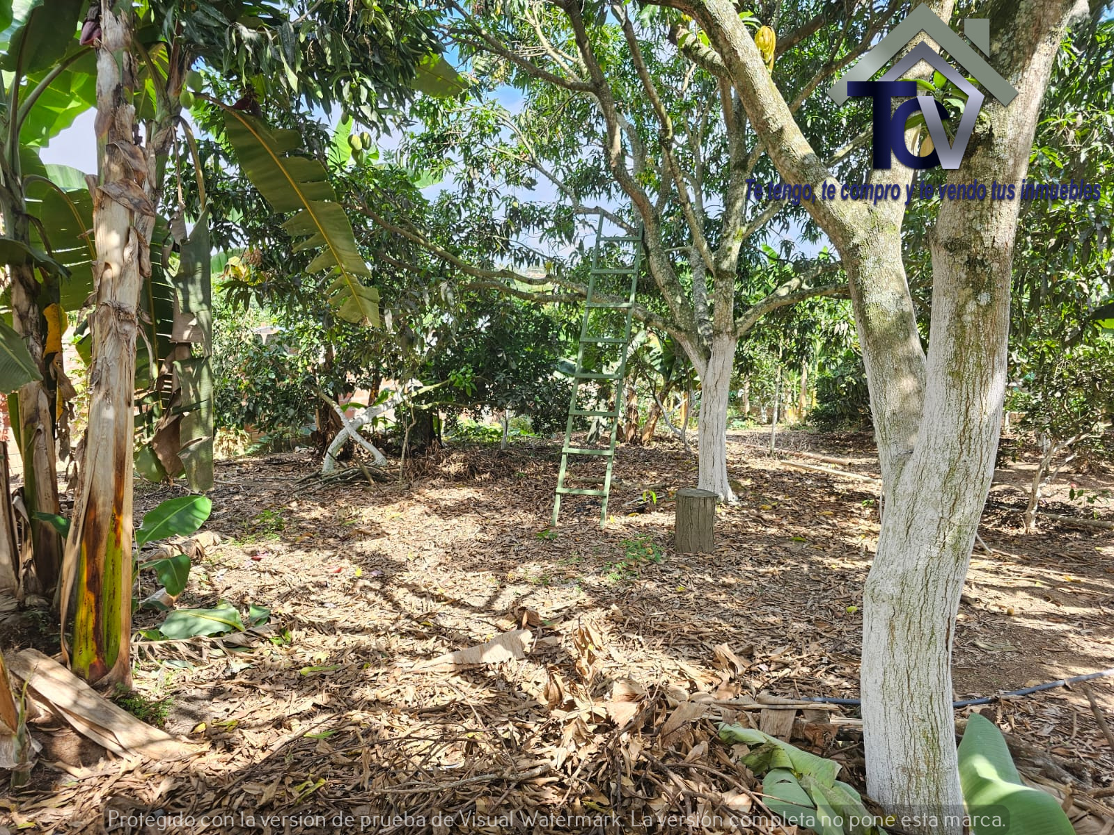 Casa en venta en Hsd. San Antonio De Carrizal, Girón, 200 m² · foto 10 de 11