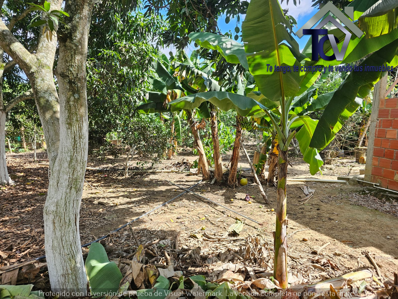 Casa en venta en Hsd. San Antonio De Carrizal, Girón, 200 m² · foto 9 de 11