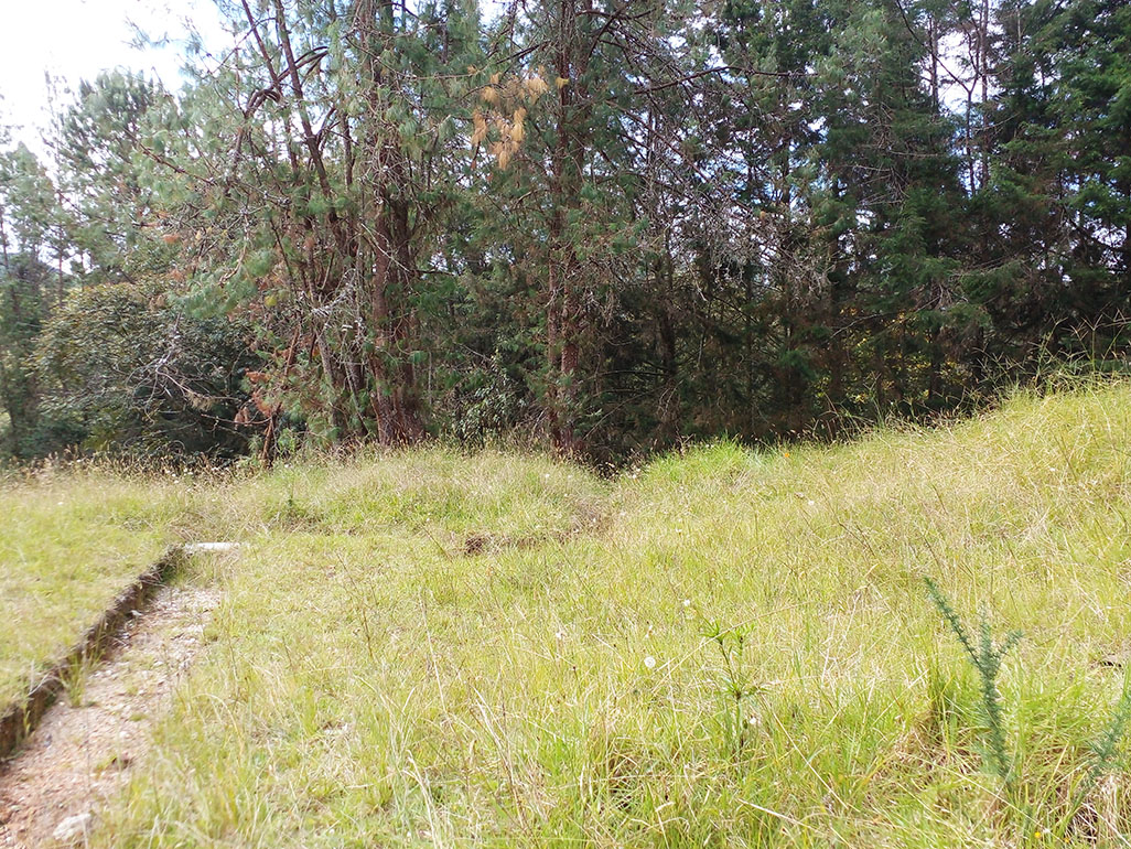 Casa de 5 alcobas en venta en Escobero, Envigado, 386 m² · foto 20 de 20