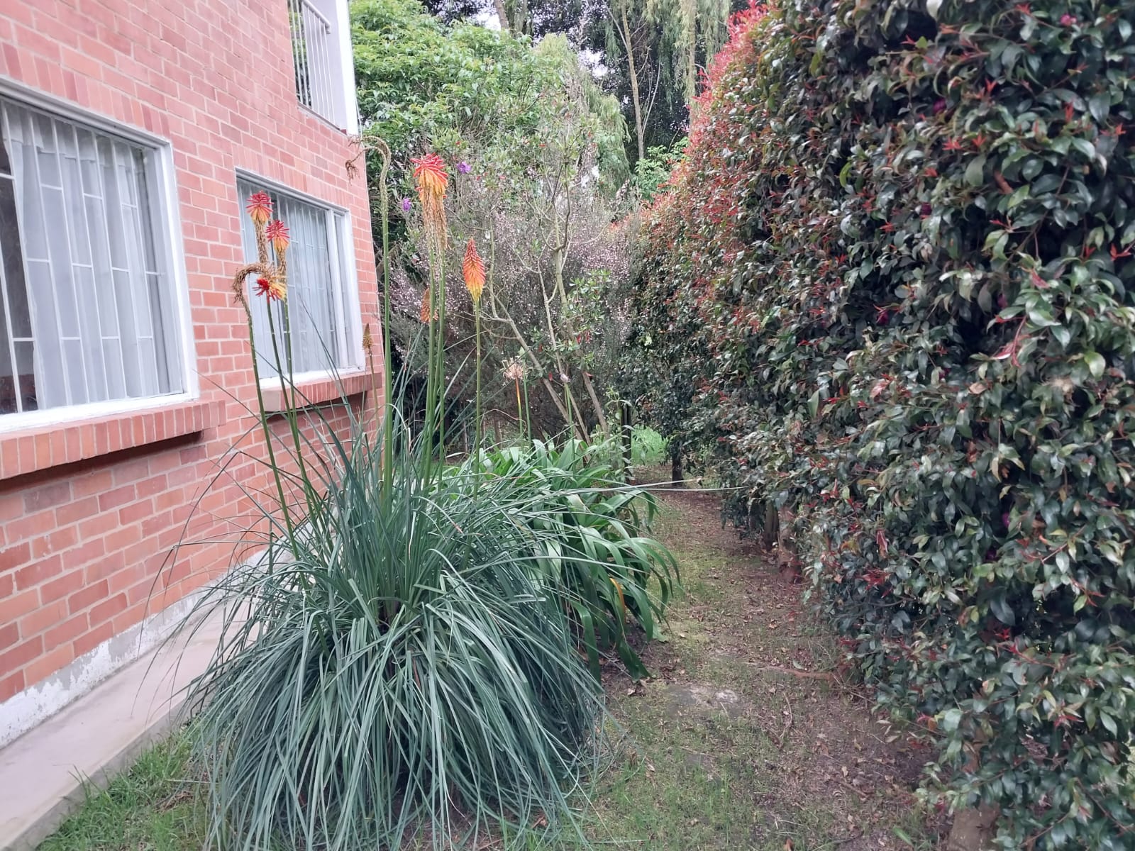 Casa de 5 alcobas en venta en Puente Vargas, Cajicá, 737 m² · foto 22 de 24