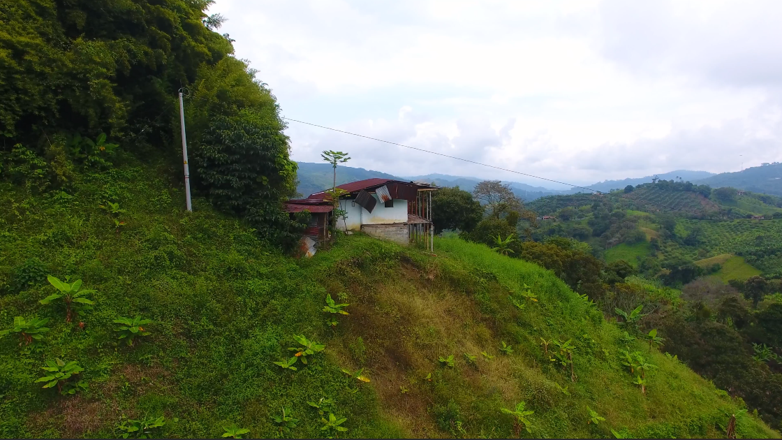 Lote en venta en San Peregrino, Manizales, 21500 m² · foto 2 de 6