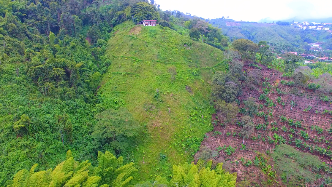 Lote en venta en San Peregrino, Manizales, 21500 m² · foto 6 de 6