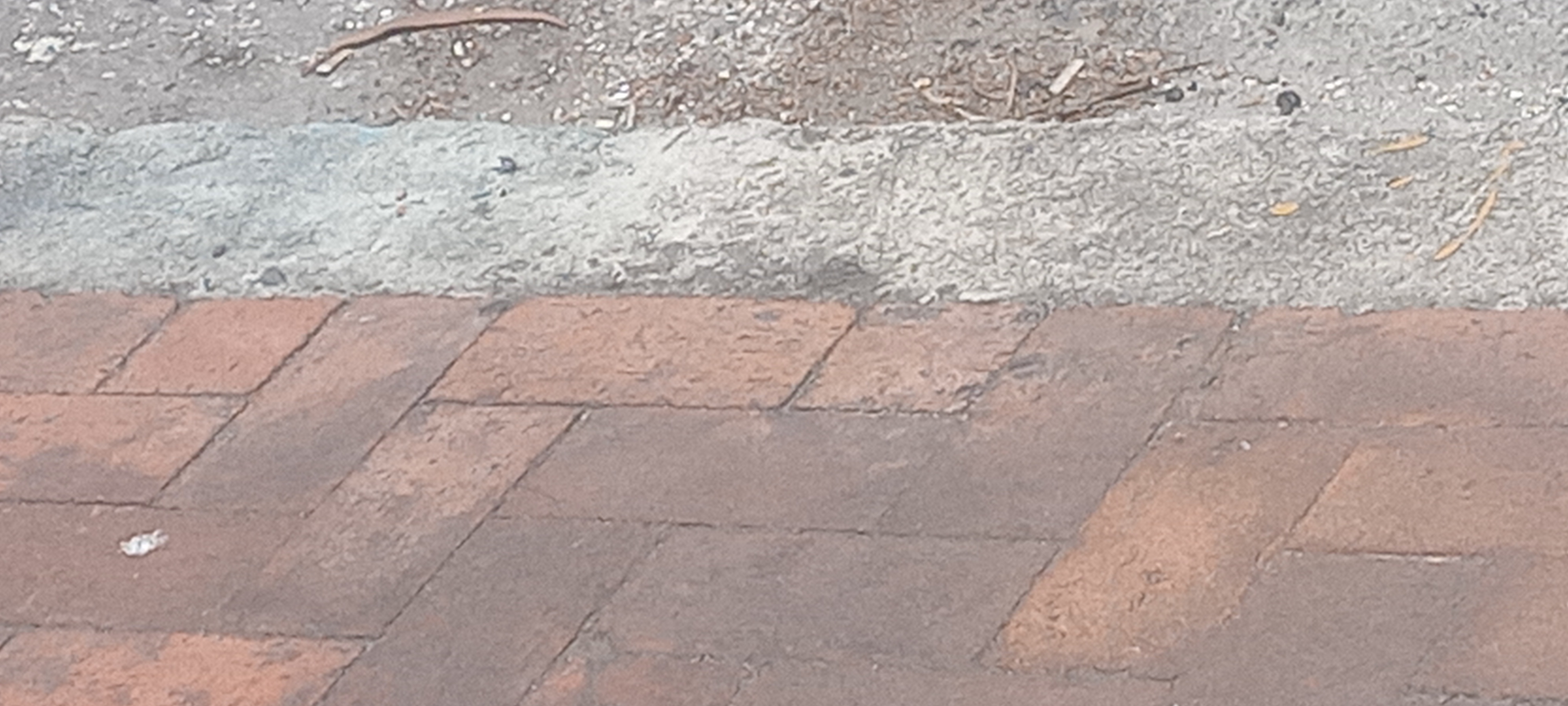 Casa en venta en Ciudad Universitaria, Bogotá · foto 19 de 21