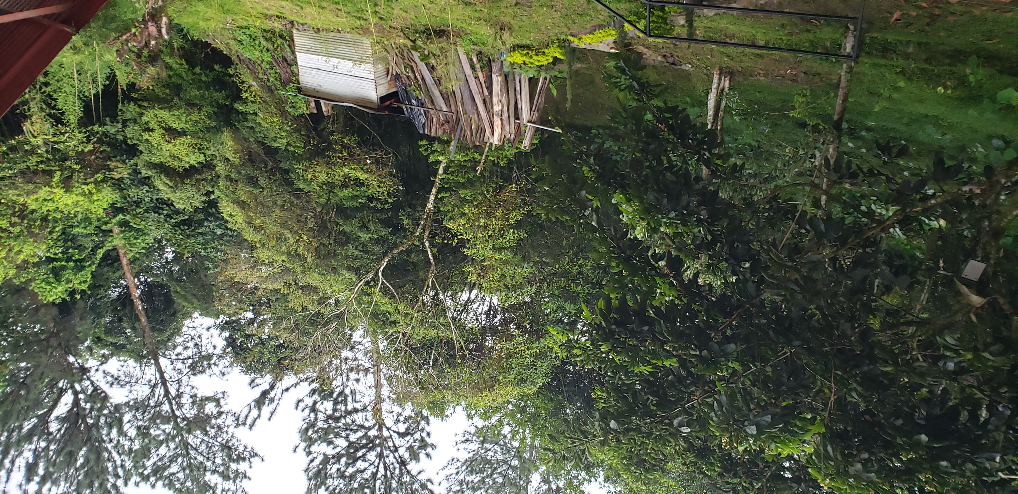Finca en venta en Buenavista, Villavicencio, 8 m² · foto 4 de 24