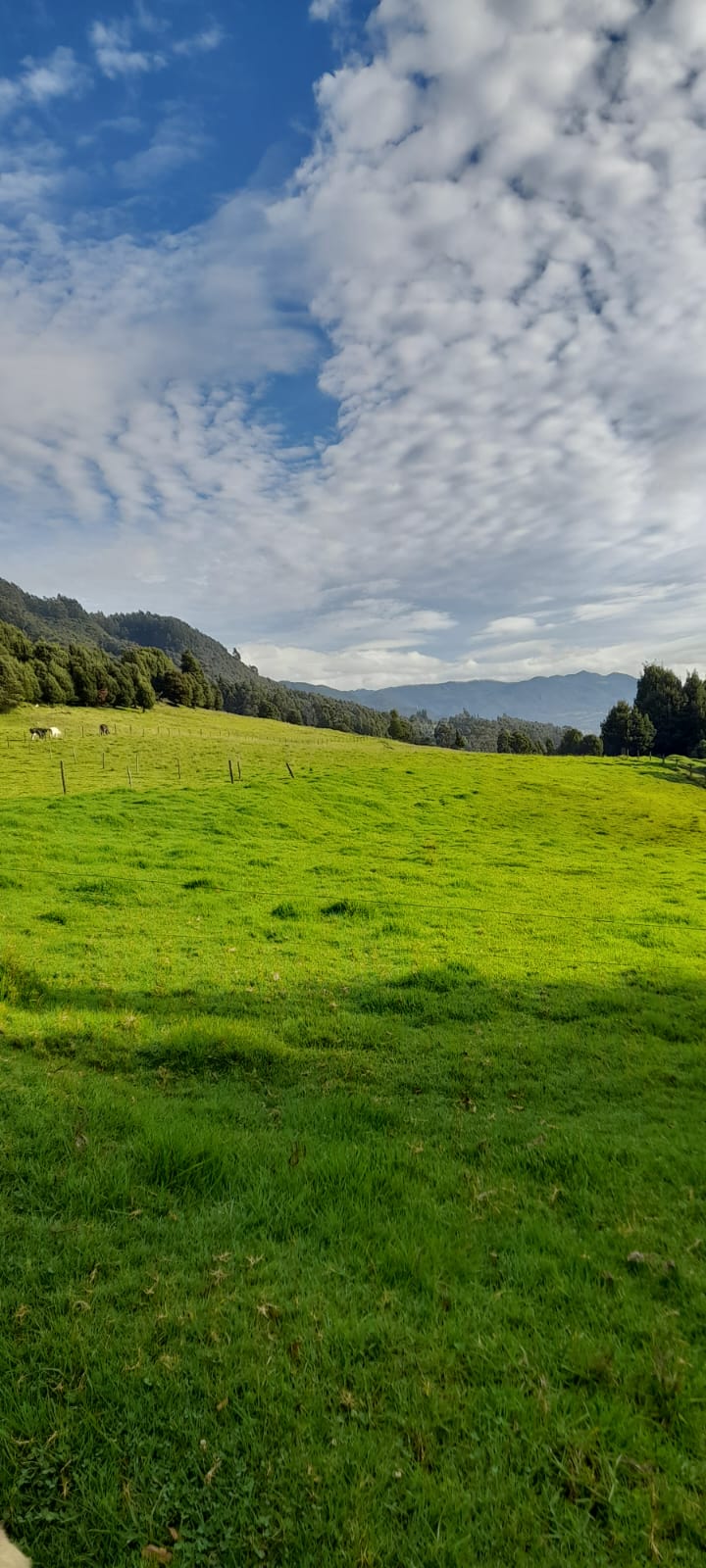 Lote en venta en Chuntame, Cajicá · foto 2 de 6