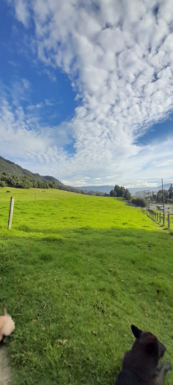 Lote en venta en Chuntame, Cajicá · foto 3 de 6