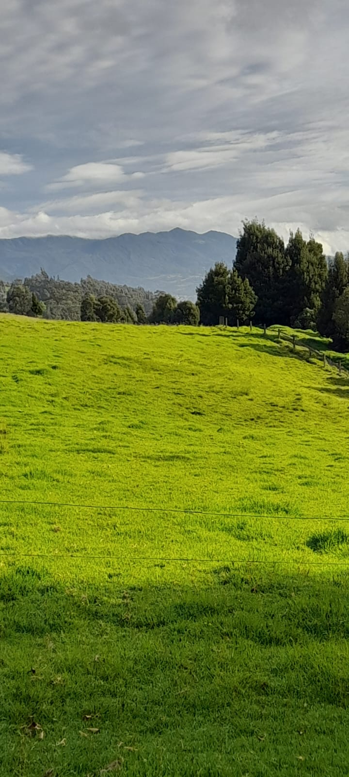 Lote en venta en Chuntame, Cajicá · foto 6 de 6