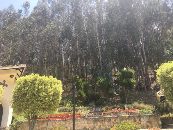 Lote en venta en Sindamanoy, Sopó, 68800 m² · foto 6 de 7