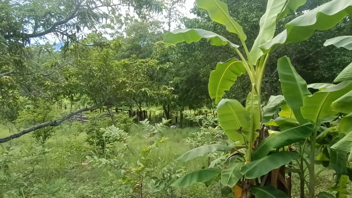 Finca en venta en Ricaurte, 133 m² · foto 22 de 24
