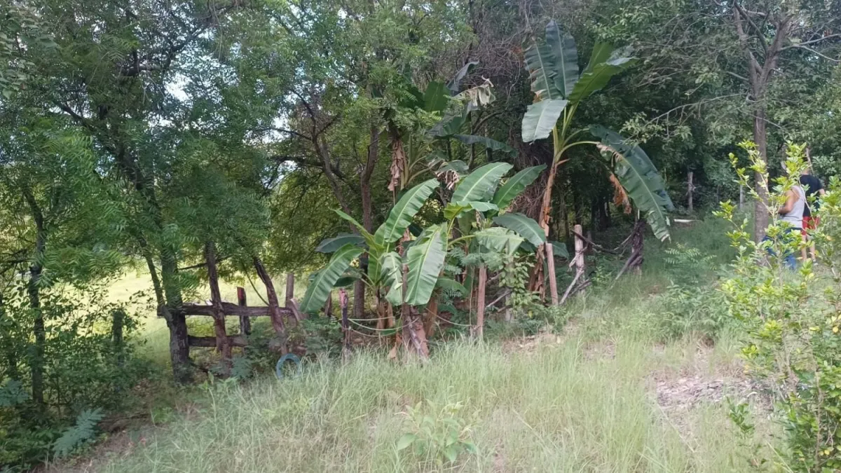 Finca en venta en Ricaurte, 133 m² · foto 23 de 24