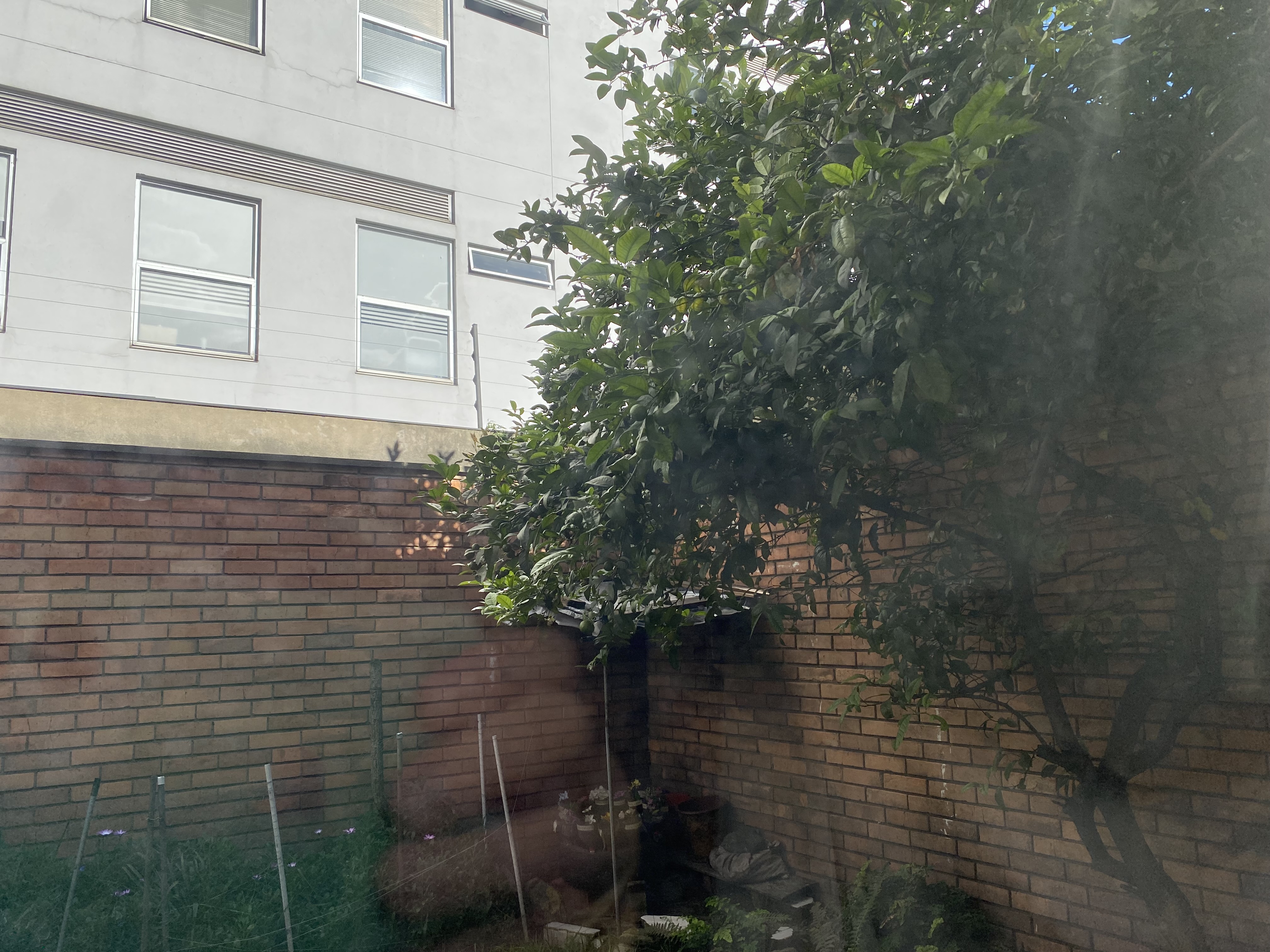 Casa en venta en La Castellana, Bogotá · foto 12 de 15