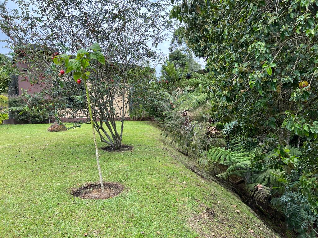 Casa de 3 alcobas en venta en La Ceja, 325 m² · foto 8 de 24