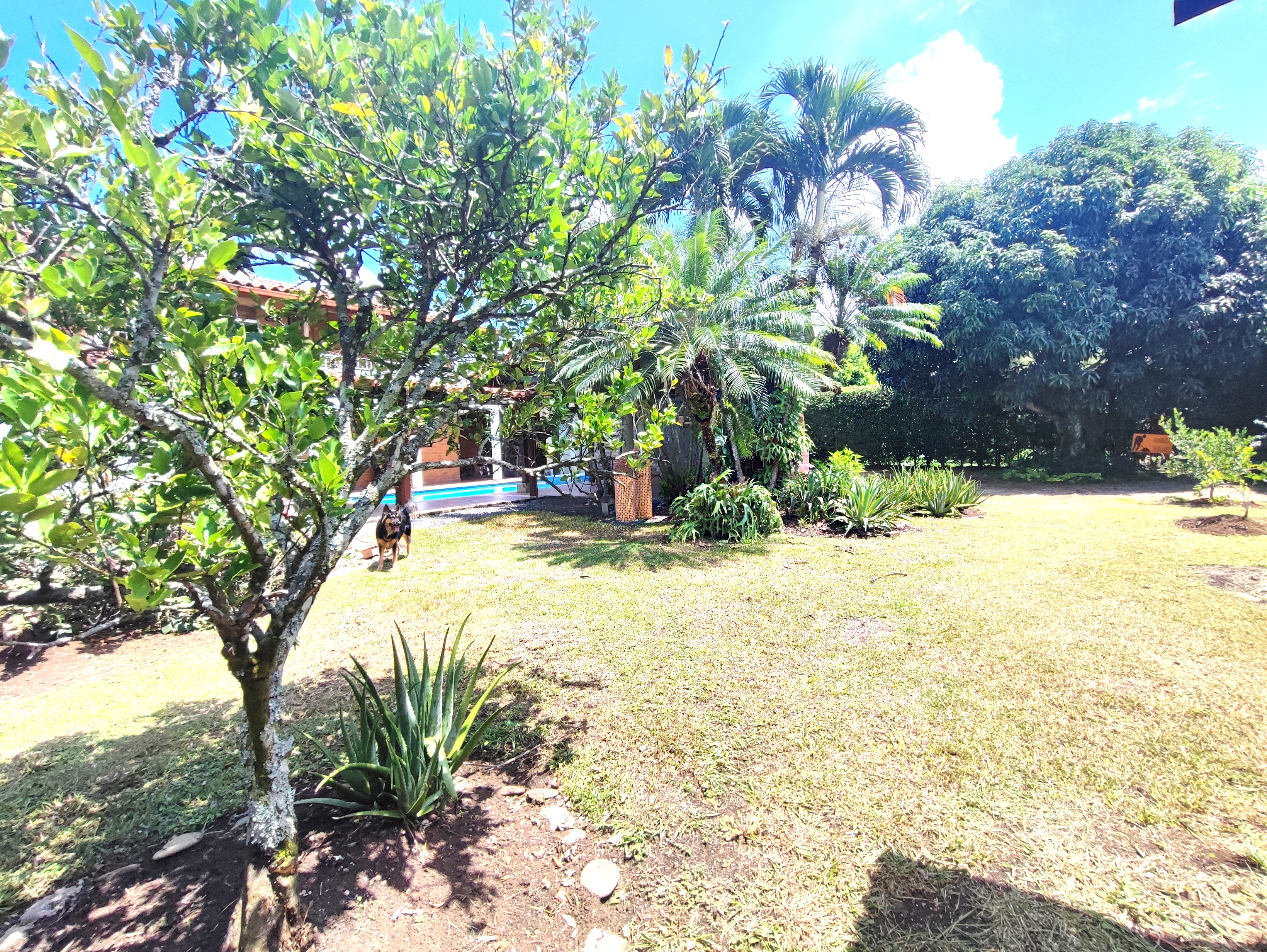 Casa de 4 alcobas en venta en Pance, Cali, 700 m² · foto 22 de 24