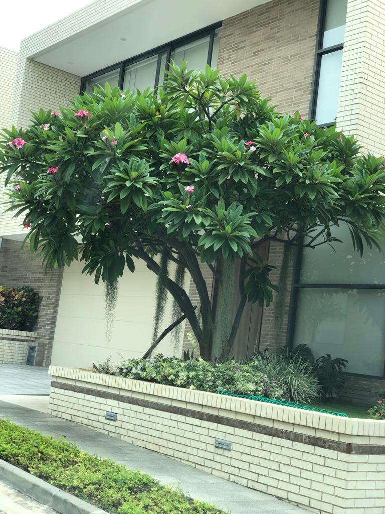 Casa en venta en Villa Campestre, Barranquilla · foto 4 de 22