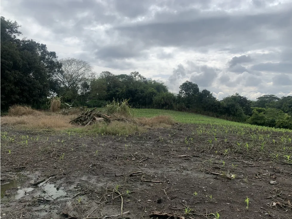 Lote en venta en La Popa, Armenia, 64000 m² · foto 8 de 10