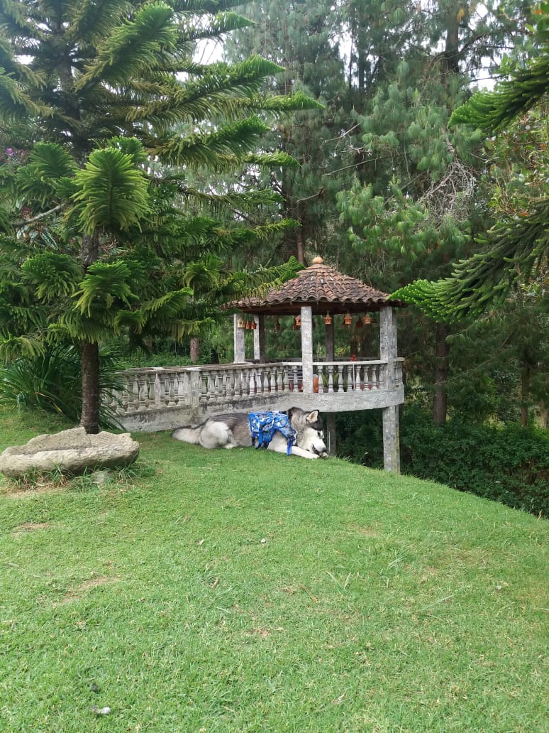 Finca en venta en Santa Elena, Medellín, 7282 m² · foto 23 de 24