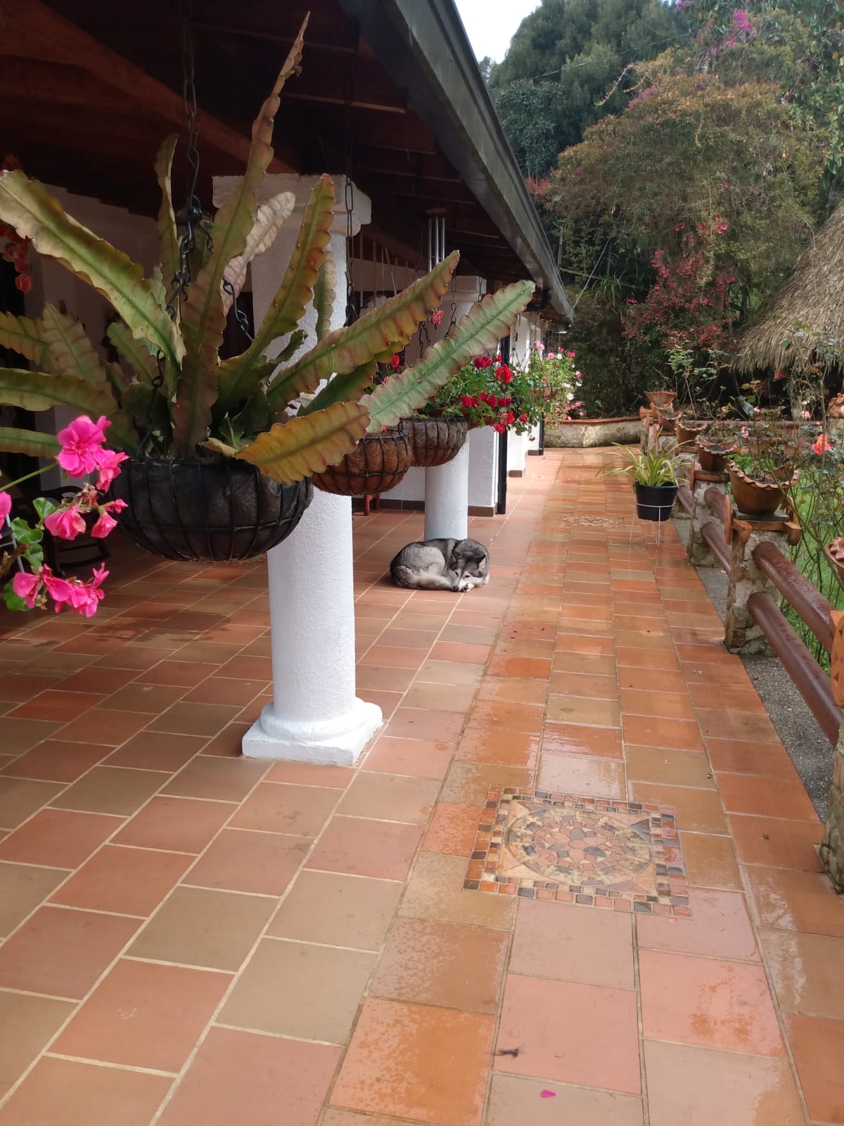 Finca en venta en Santa Elena, Medellín, 7282 m² · foto 6 de 24