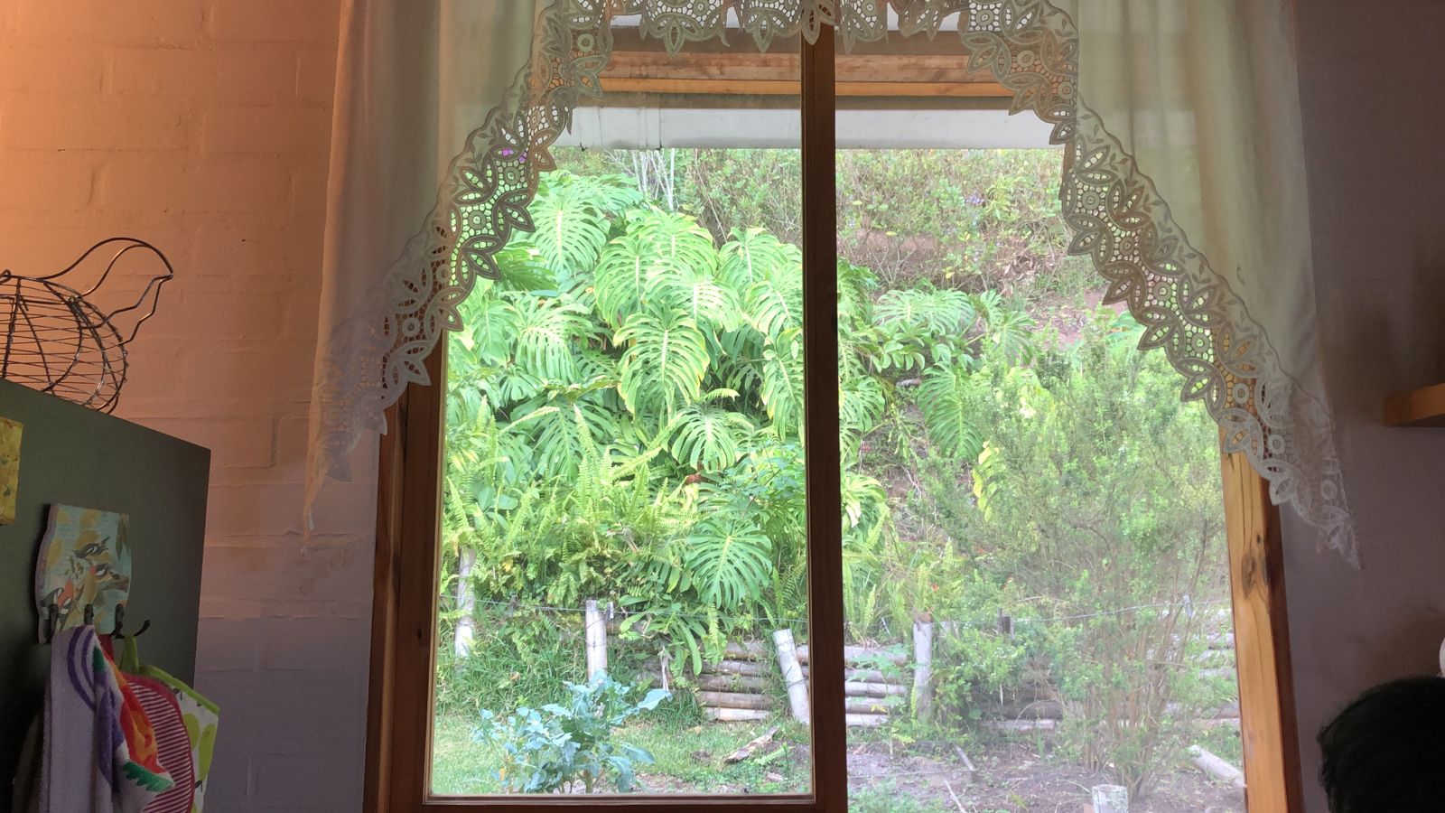 Finca en venta en Miravalle Dapa, Yumbo, 5000 m² · foto 12 de 24