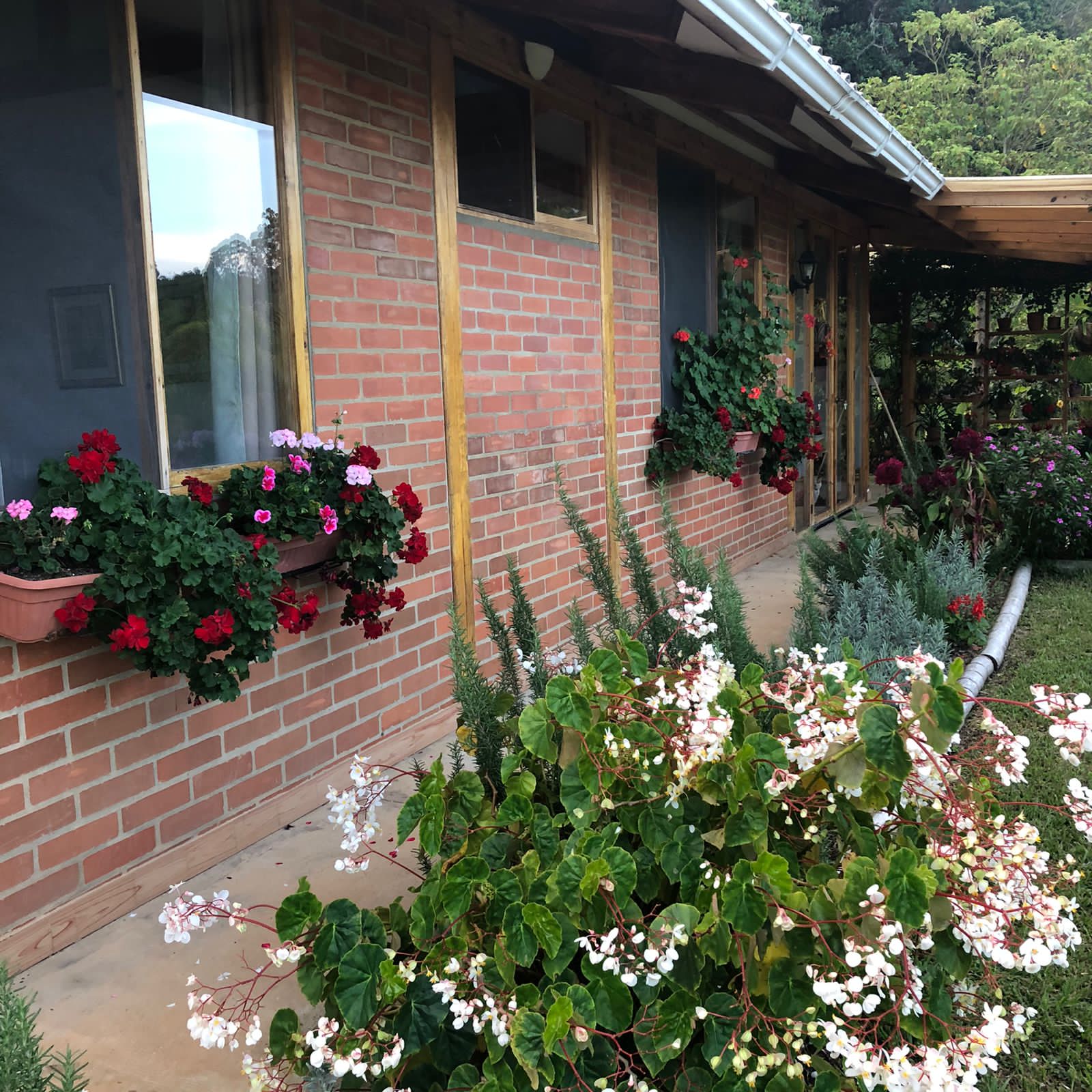 Finca en venta en Miravalle Dapa, Yumbo, 5000 m² · foto 8 de 24