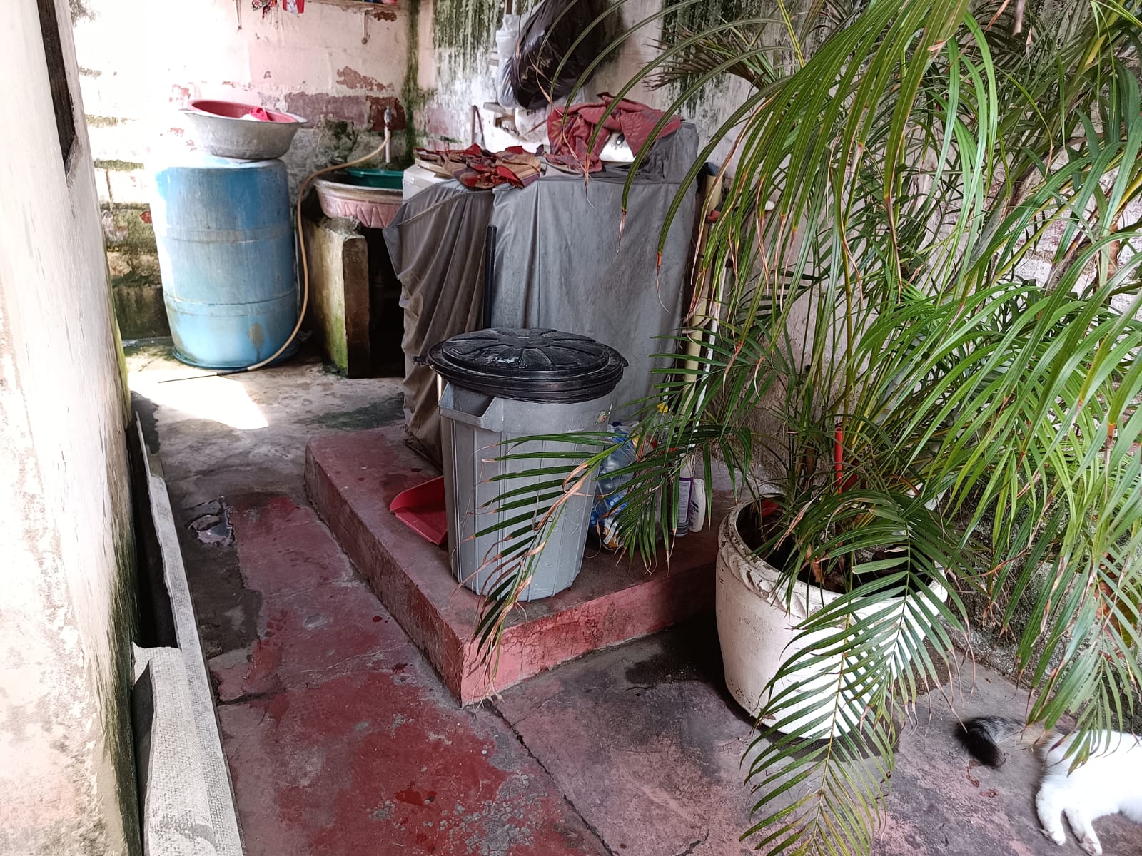 Casa en venta en La Victoria, Barranquilla · foto 22 de 24