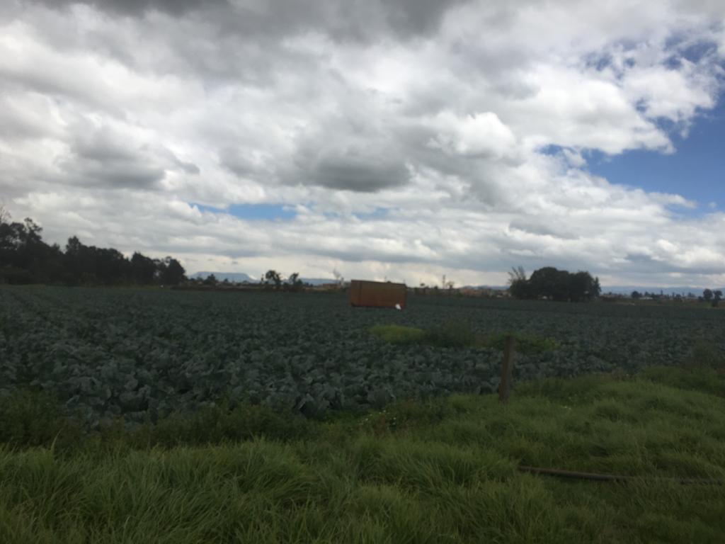 Lote en venta en Siberia, Cota · foto 3 de 6