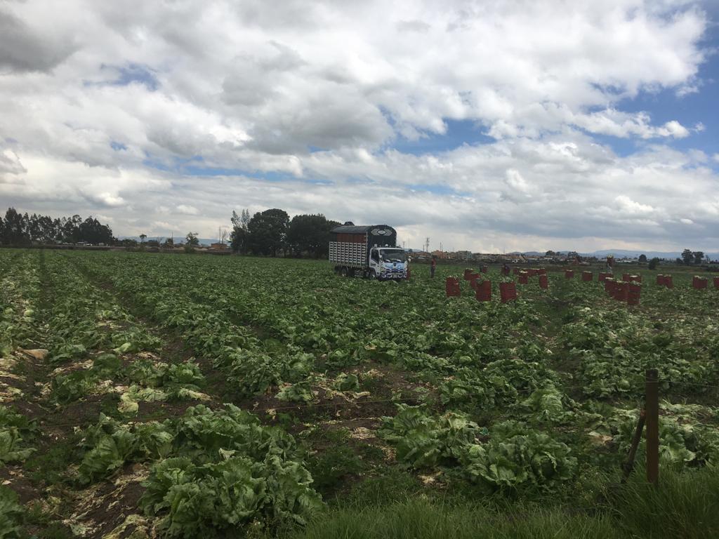 Lote en venta en Siberia, Cota · foto 4 de 6