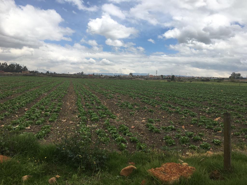 Lote en venta en Siberia, Cota · foto 5 de 6