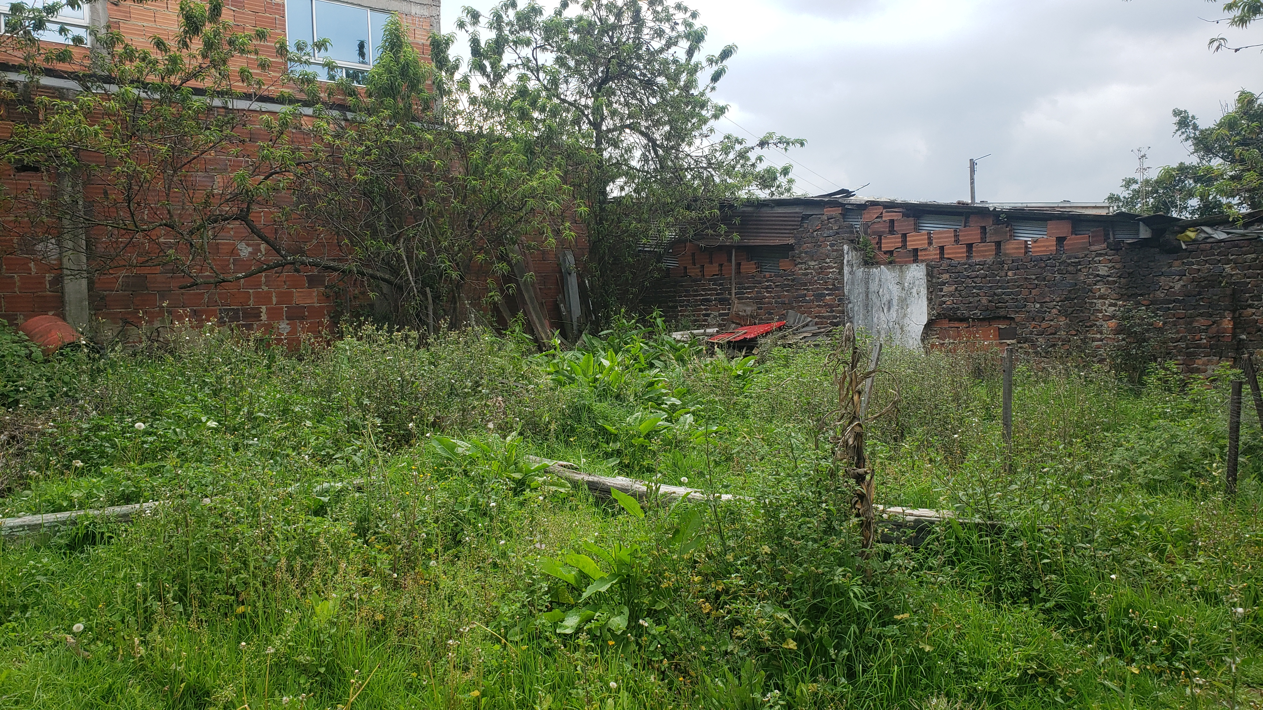 Casa de 3 alcobas en venta en Las Brisas, Bogotá, 279 m² · foto 4 de 22