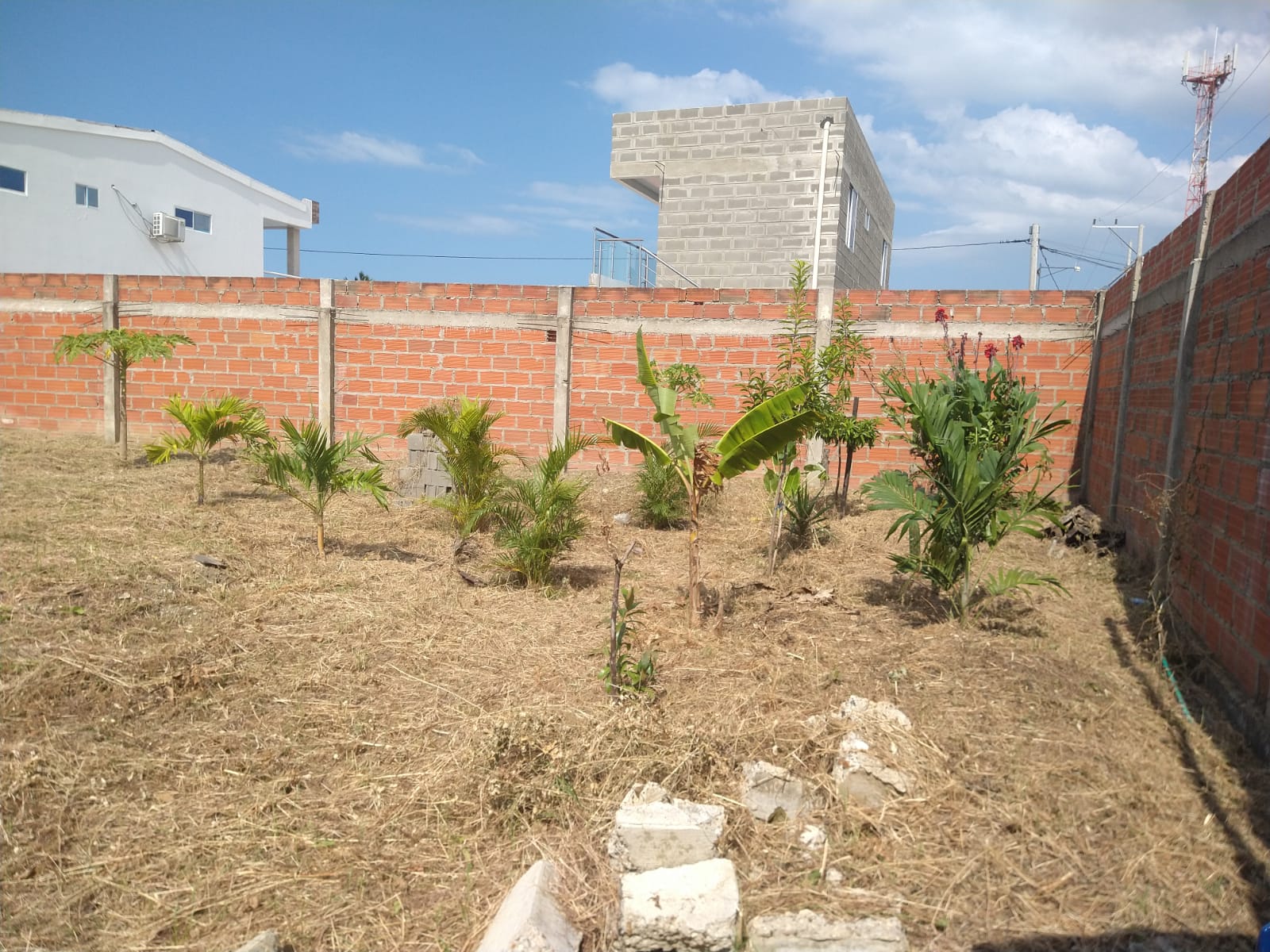 Lote en venta en Punta Canoa, Cartagena, 620 m² · foto 17 de 21