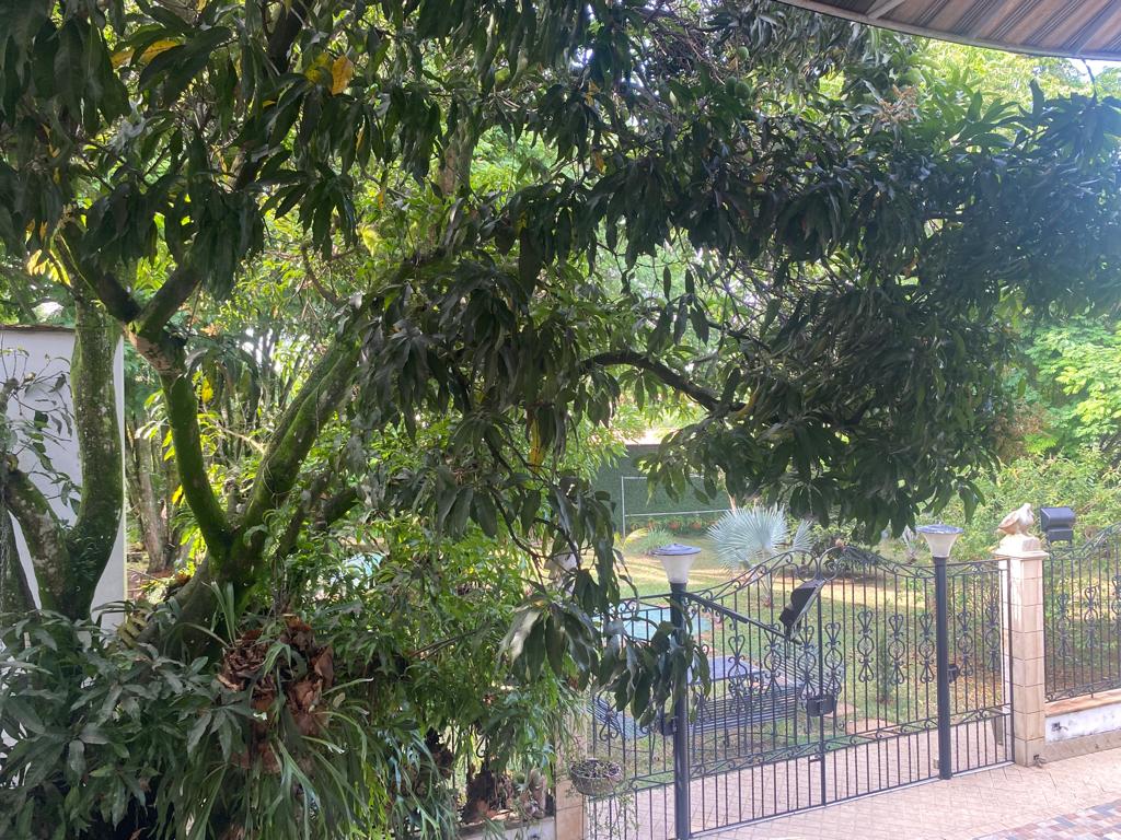 Casa de 4 alcobas en venta en Ciudad Jardin, Cali, 541 m² · foto 21 de 24