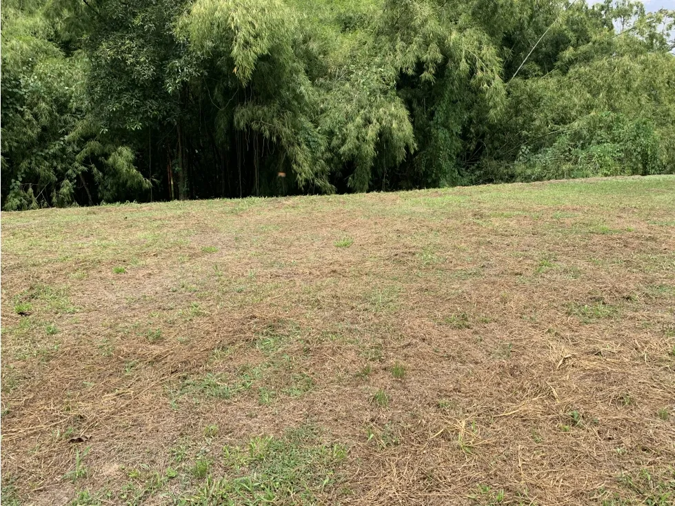 Lote en venta en Armenia, 4000 m² · foto 13 de 15
