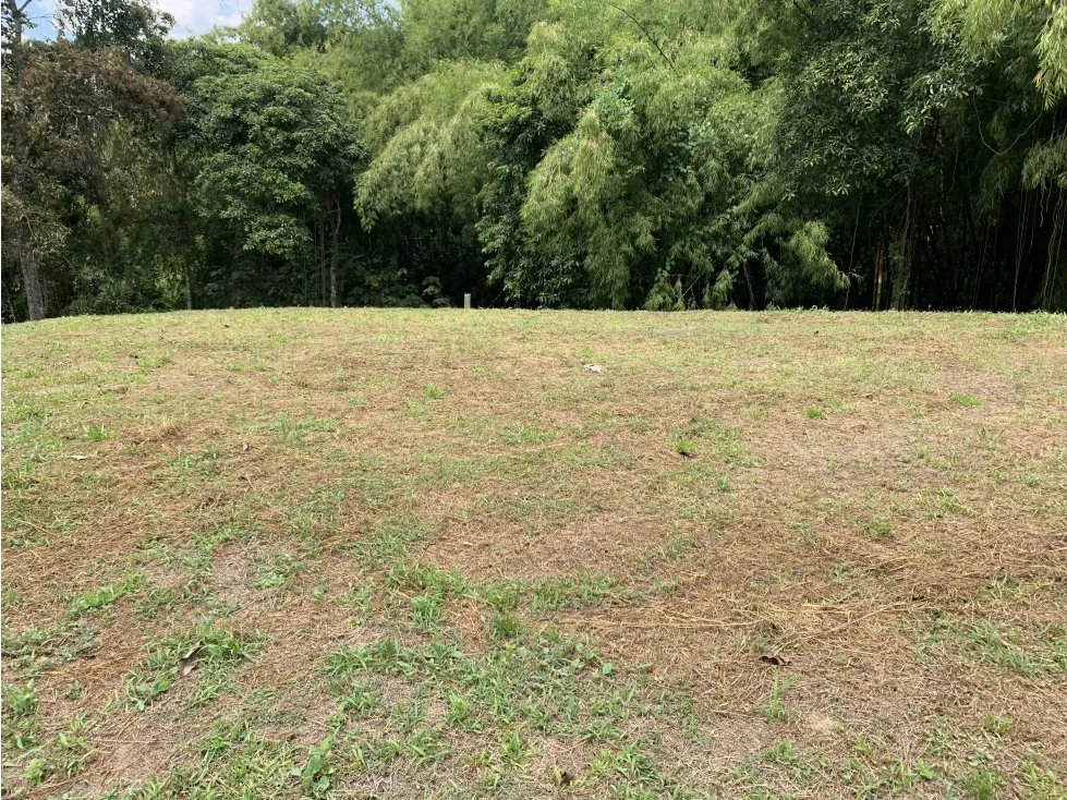 Lote en venta en Armenia, 4000 m² · foto 15 de 15
