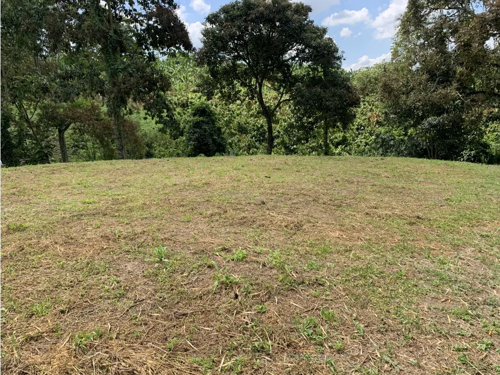 Lote en venta en Armenia, 4000 m² · foto 4 de 15