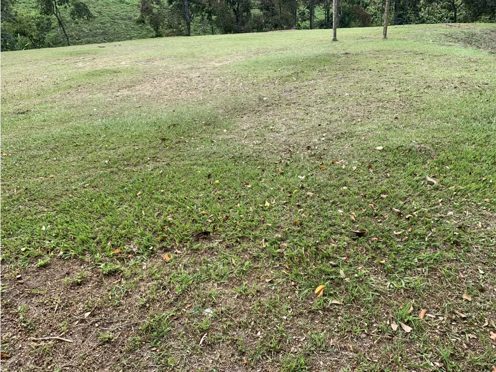 Lote en venta en Armenia, 4000 m² · foto 6 de 15