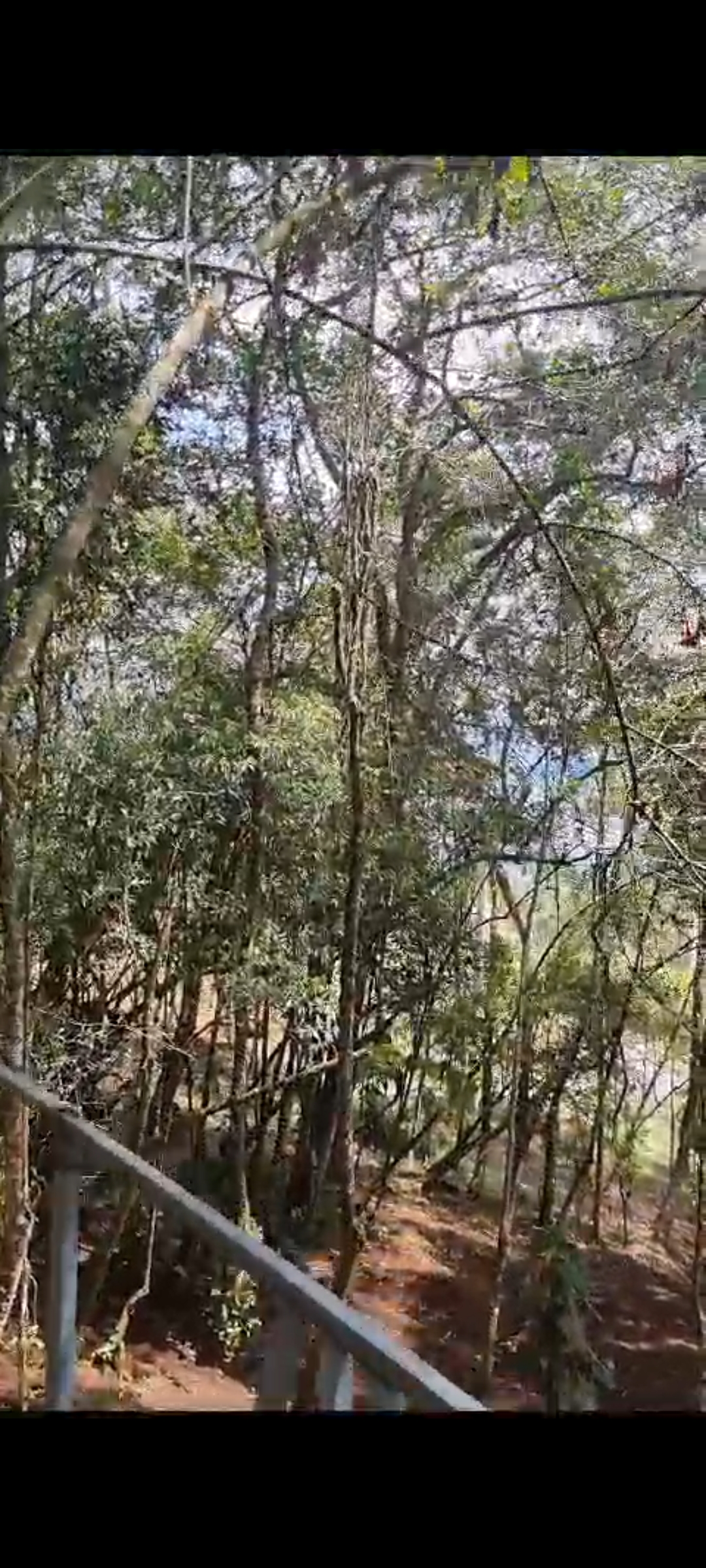 Finca en venta en San Diego, El Retiro, 10000 m² · foto 18 de 18