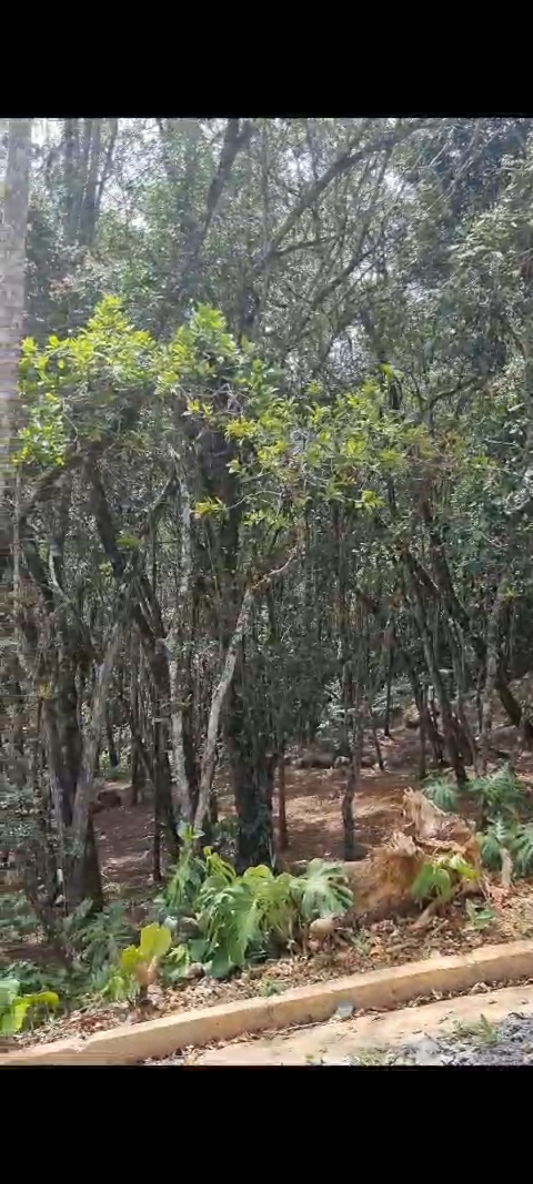Finca en venta en San Diego, El Retiro, 10000 m² · foto 3 de 18