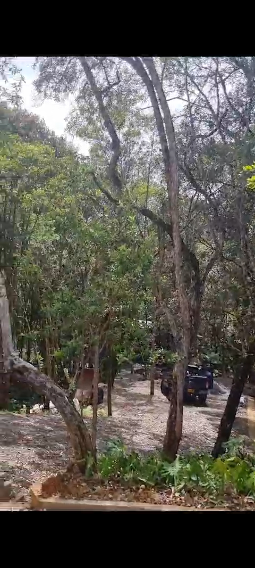 Finca en venta en San Diego, El Retiro, 10000 m² · foto 4 de 18