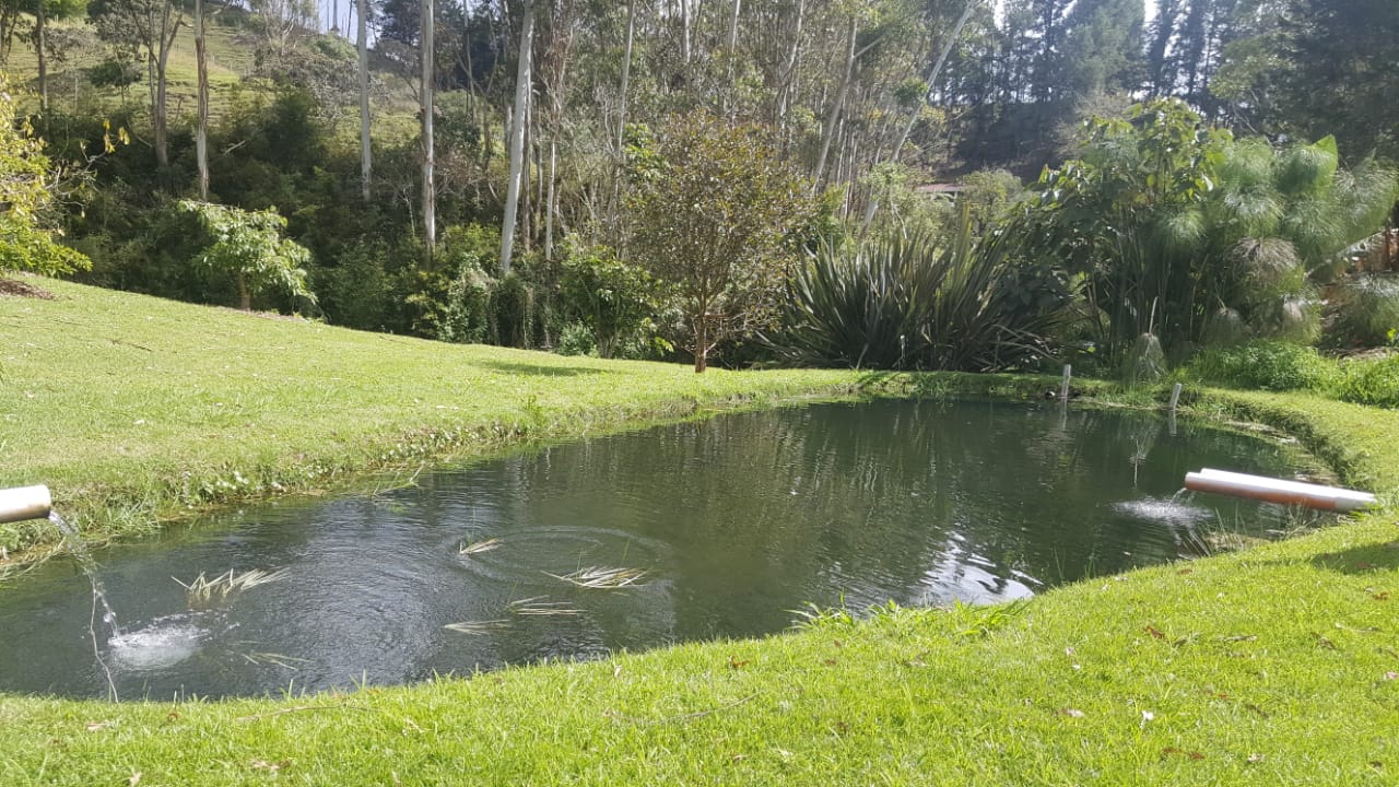 Finca en venta en Lejos Del Nido, El Retiro, 6500 m² · foto 16 de 24