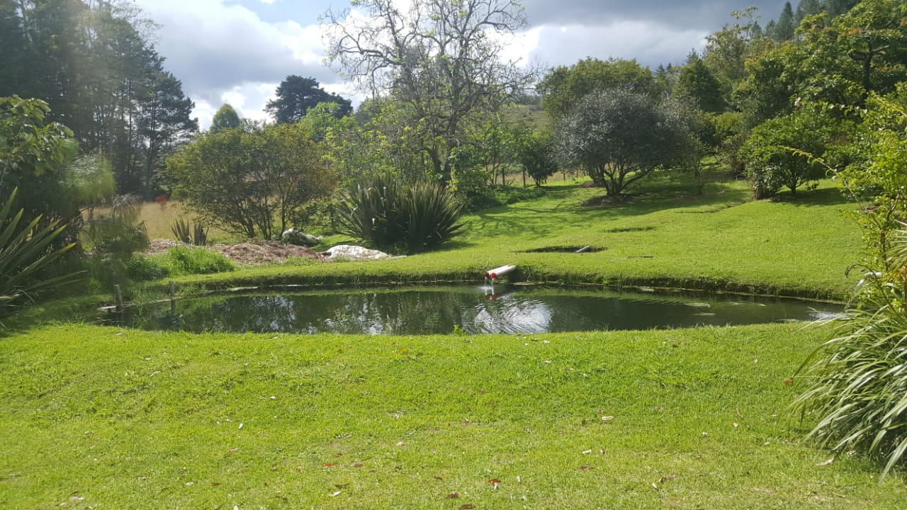 Finca en venta en Lejos Del Nido, El Retiro, 6500 m² · foto 17 de 24