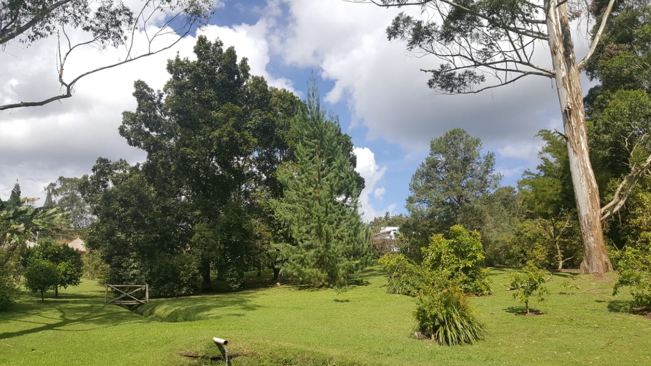 Finca en venta en Lejos Del Nido, El Retiro, 6500 m² · foto 23 de 24