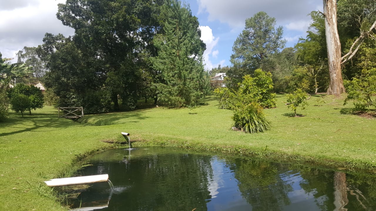 Finca en venta en Lejos Del Nido, El Retiro, 6500 m² · foto 24 de 24