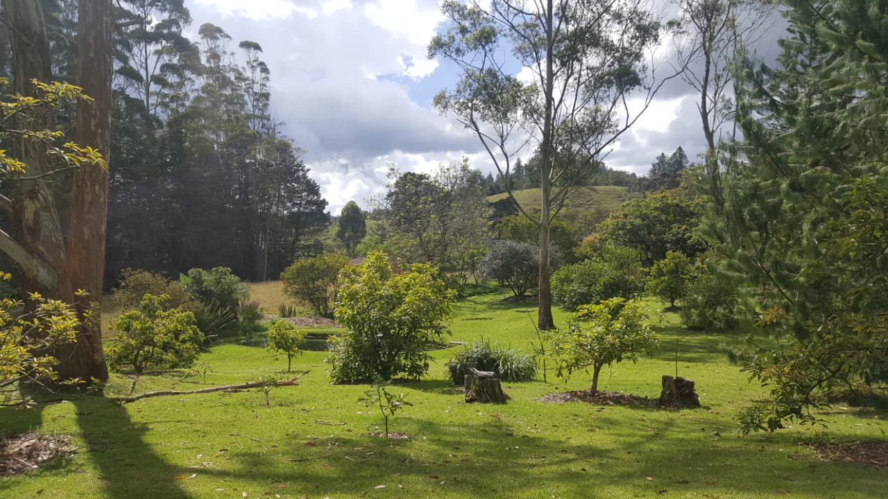 Finca en venta en Lejos Del Nido, El Retiro, 6500 m² · foto 5 de 24