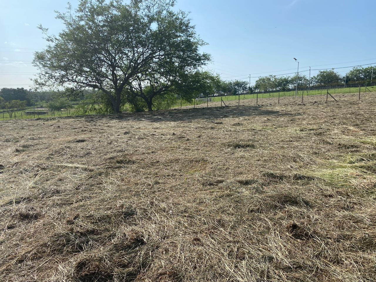 Lote en venta en Pance, Cali, 1525 m² · foto 2 de 4