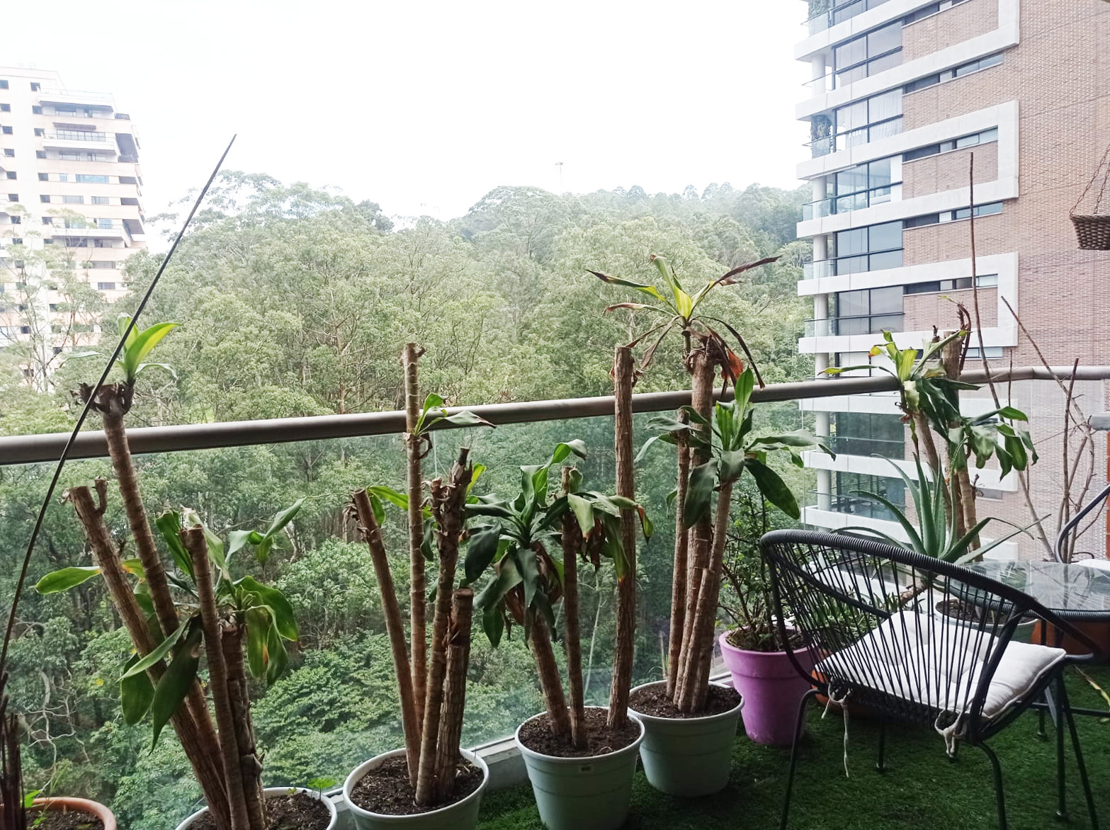Apartamento en arriendo en Altos Del Poblado, Medellín · foto 18 de 18