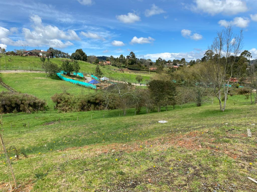 Lote en venta en Las Palmas, Envigado, 2307 m² · foto 3 de 5