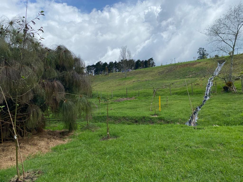 Lote en venta en Las Palmas, Envigado, 2307 m² · foto 2 de 5