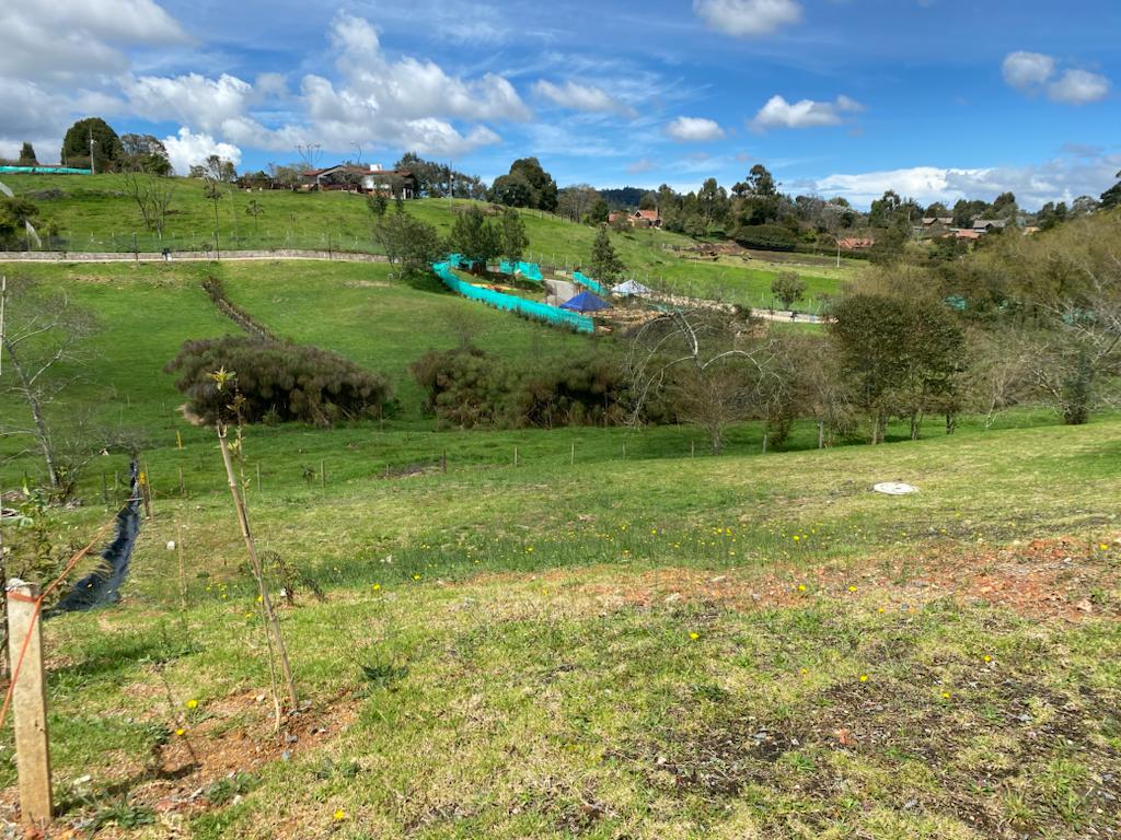 Lote en venta en Las Palmas, Envigado, 2307 m² · foto 5 de 5